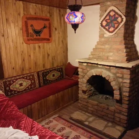 Deniss Gazde/Camere de închiriat *