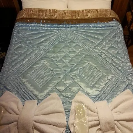 Gazde/Camere de închiriat Deniss *